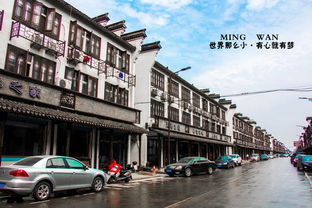 带着肥肥去旅行 桂林 东兴 已完结