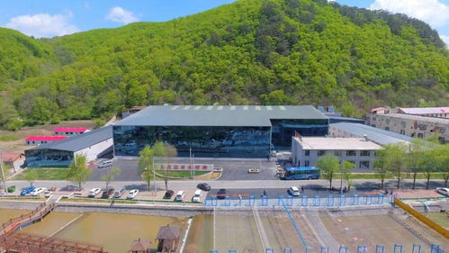 带你走进22 的夏天系列之四 三伏日烈,通化送爽,到永欣欢乐谷旅游度假区嬉水正当时