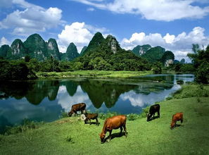 8月来这12个旅行地,1秒清凉,辞职也要去