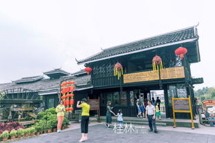 桂林旅游攻略桂林旅游攻略女汉纸与青春的碰撞 阳朔3天2夜详细旅游文章