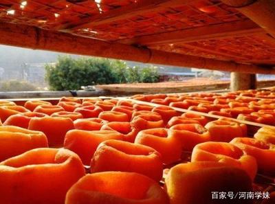 桂林最全旅游攻略 去桂林旅游必打卡的7个景点